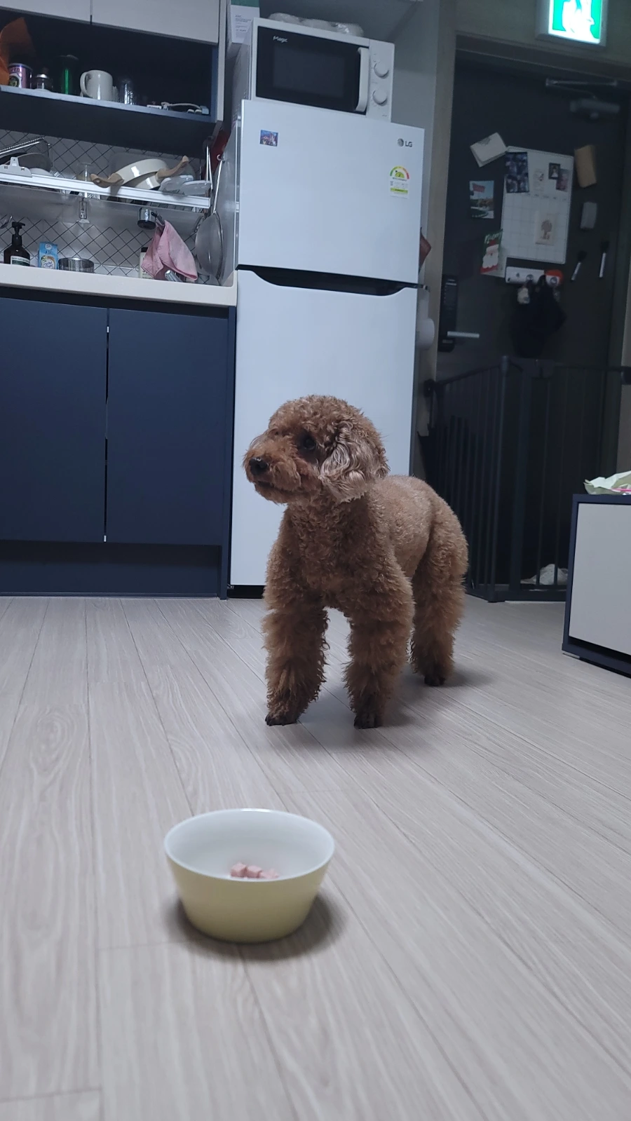 20230721%EF%BC%BF165657.jpg?type=w966