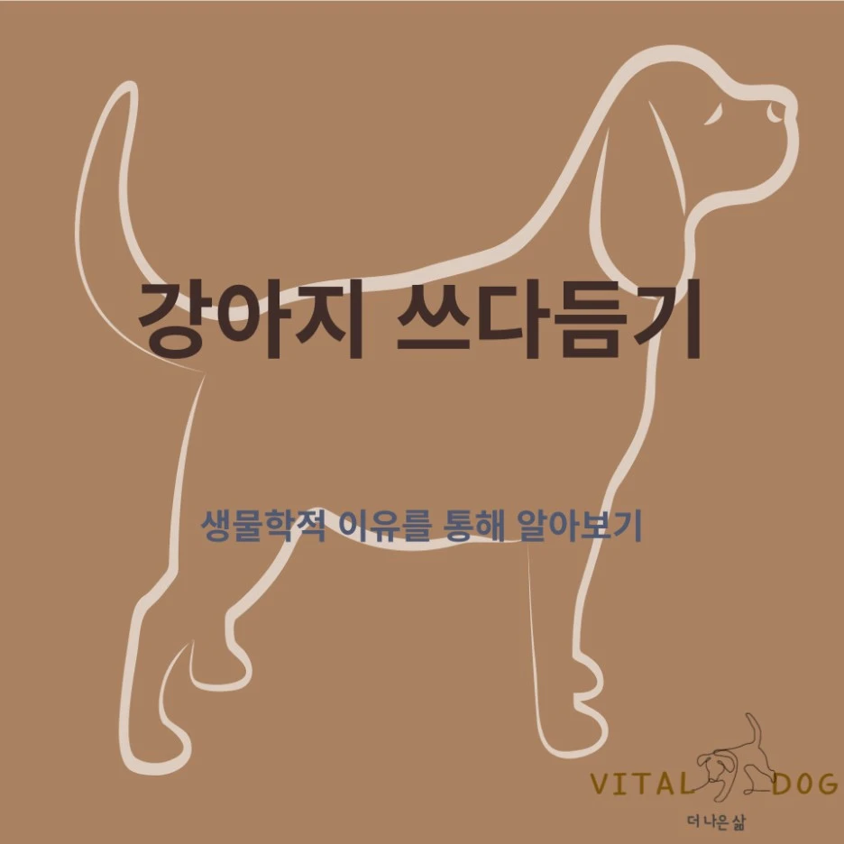 %EC%A0%9C%EB%AA%A9%EC%9D%84-%EC%9E%85%EB%A0%A5%ED%95%B4%EC%A3%BC%EC%84%B8%EC%9A%94_-001_(25).jpg?type=w1