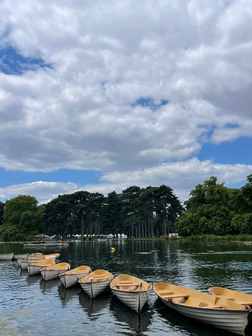 Bois de Boulogne.JPG