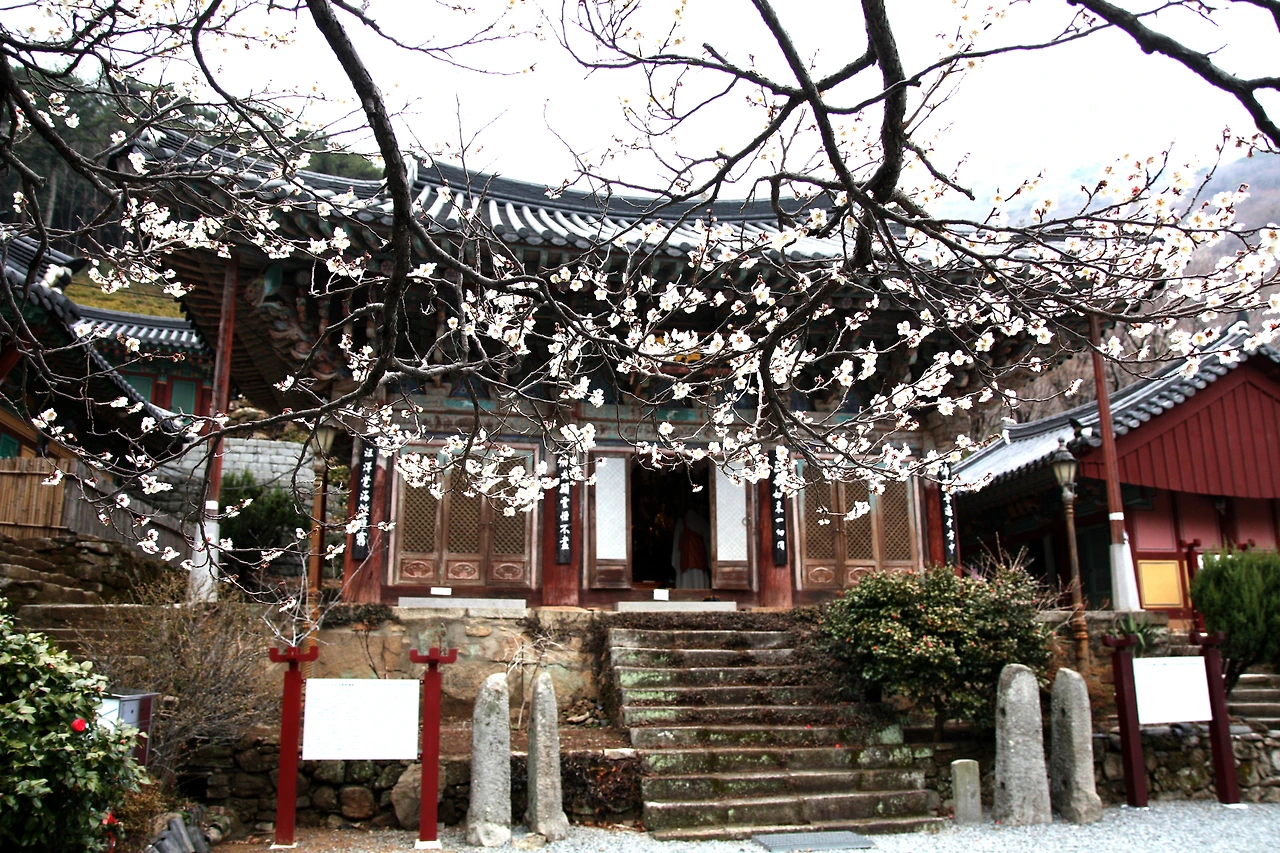 사진 15. 용문사 (2).JPG