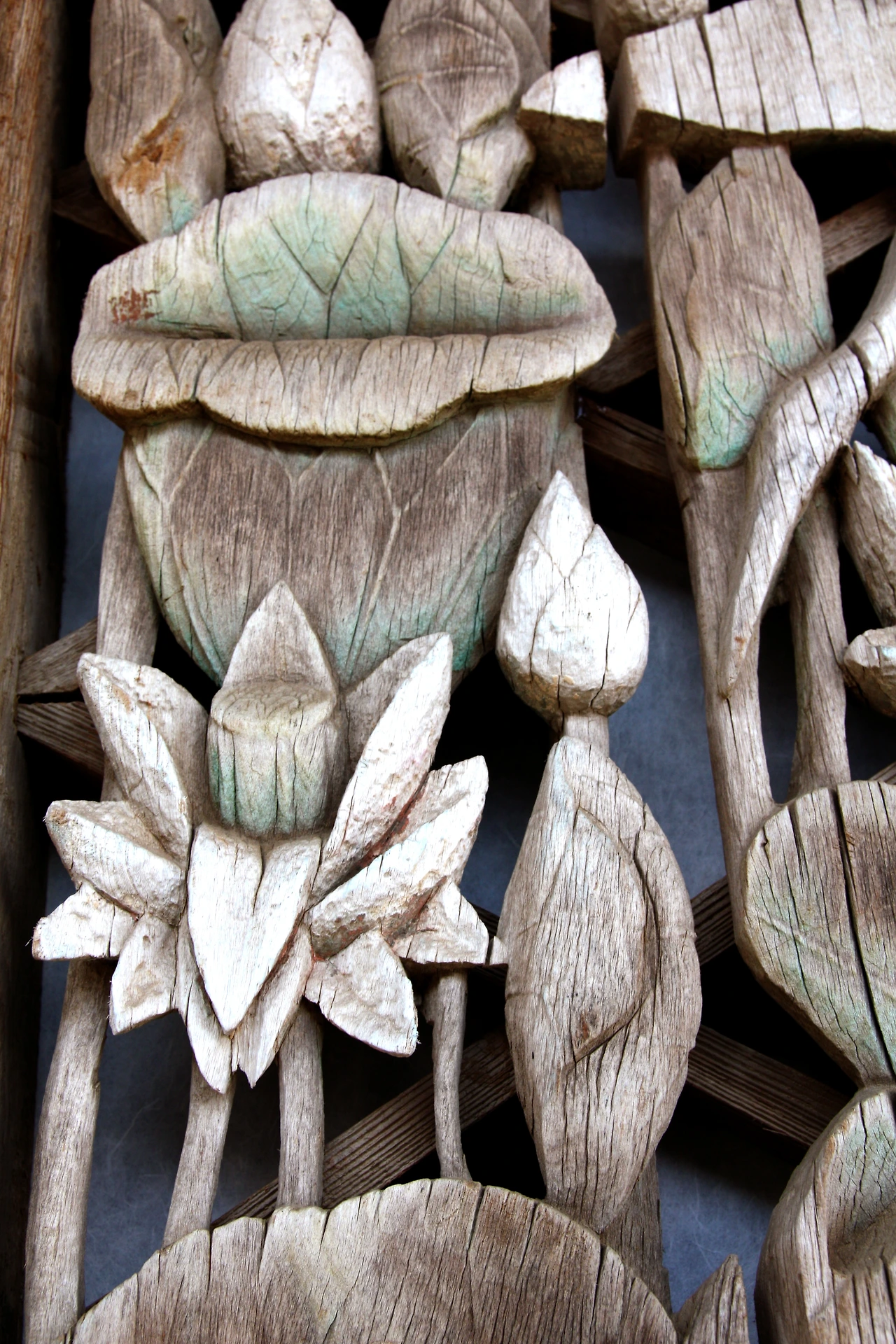 연꽃과 연잎.JPG