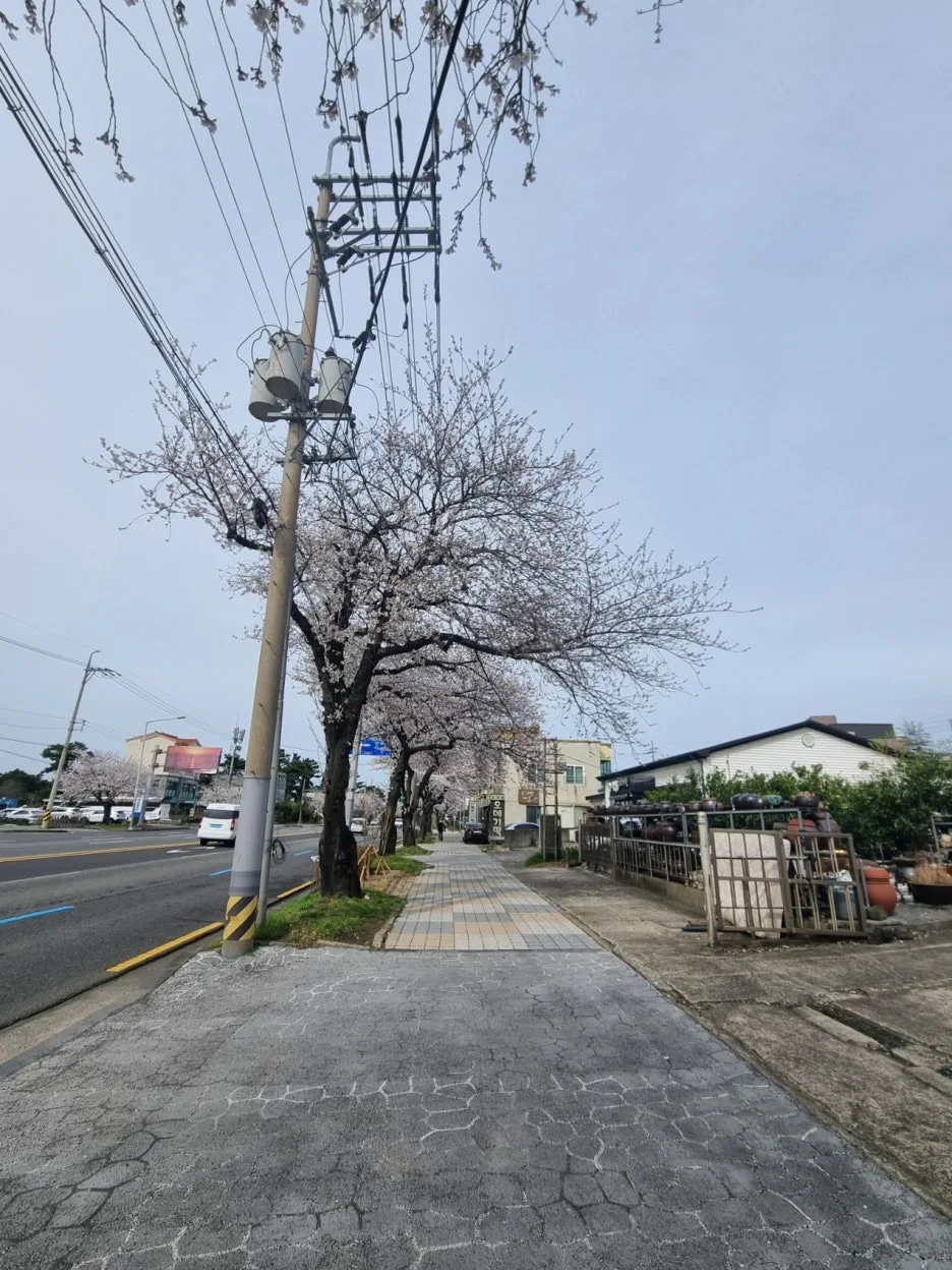 20250328_154156.jpg?type=w1