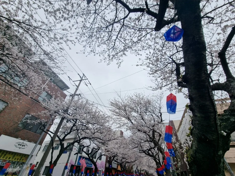 20250328_164449.jpg?type=w1