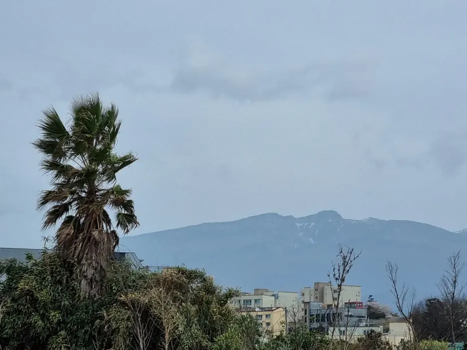 20250328_161529.jpg?type=w1