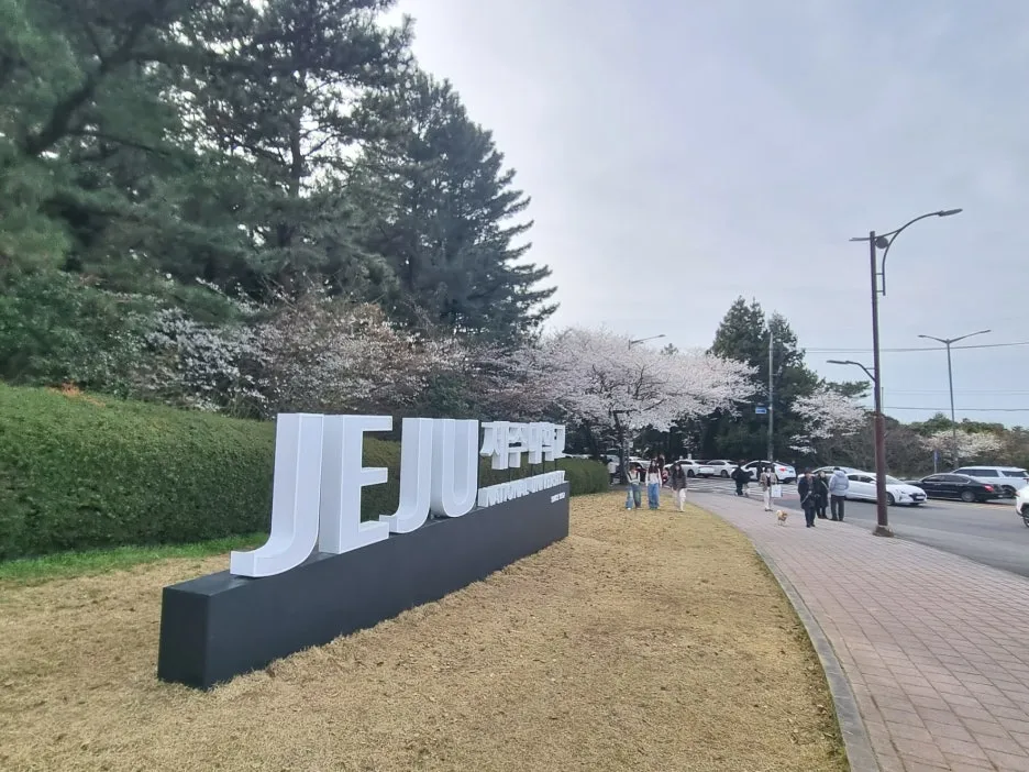 20250330_161736.jpg?type=w1