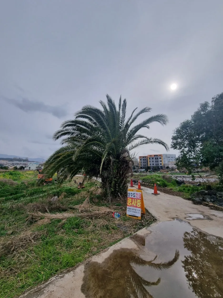 20250328_160818.jpg?type=w1