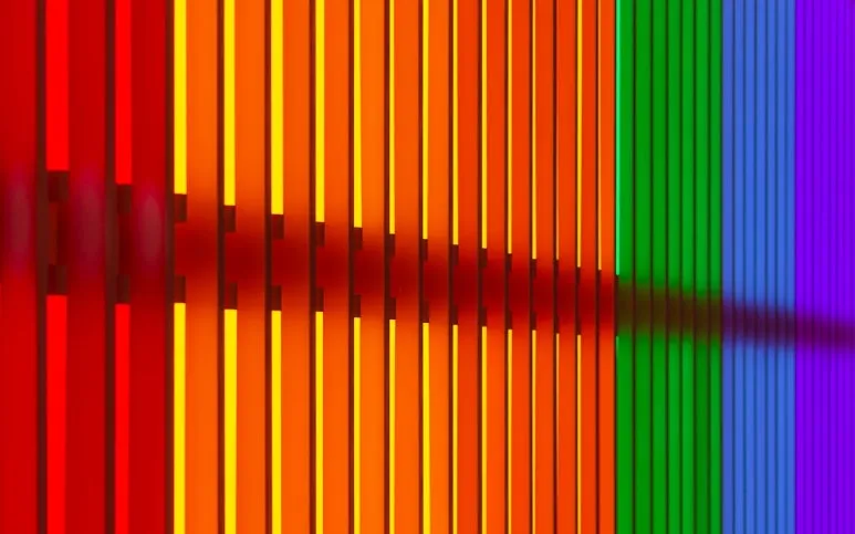 photo-1615793927044-600a1ec42466.jpg?type=w773