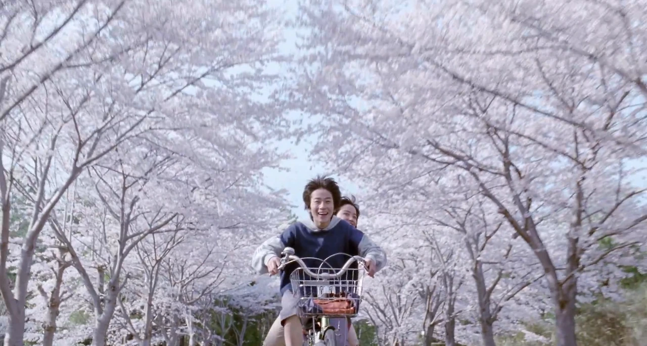 벚꽃 터널.jpeg