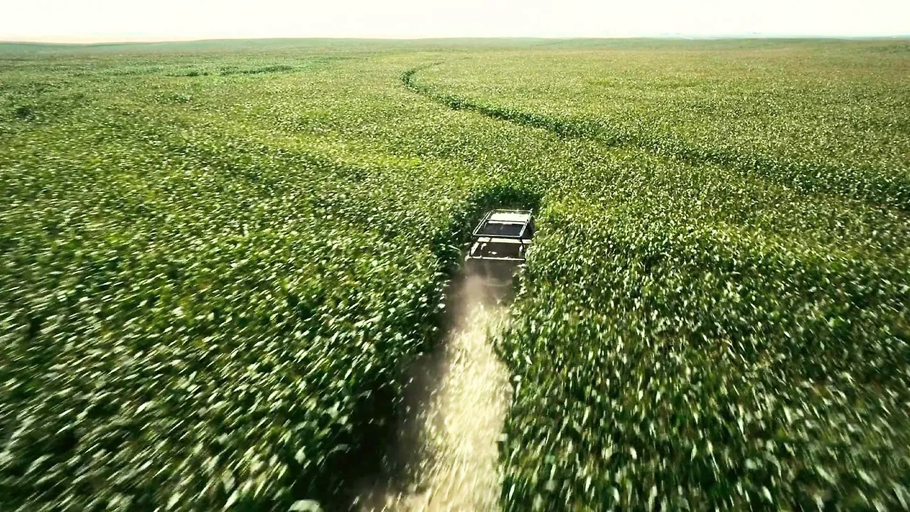 corn field 2.jpeg