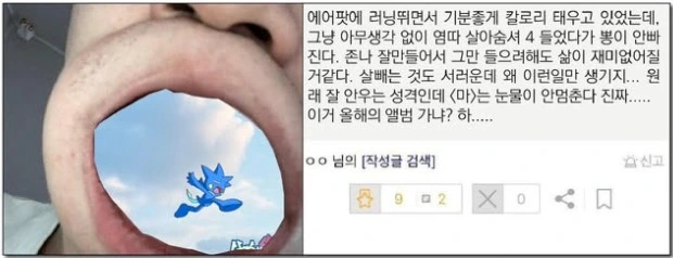 웹 캡처_2-7-2025_111411_www.instagram.com.jpeg