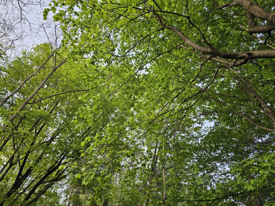 20240417_072638.jpg?type=w1