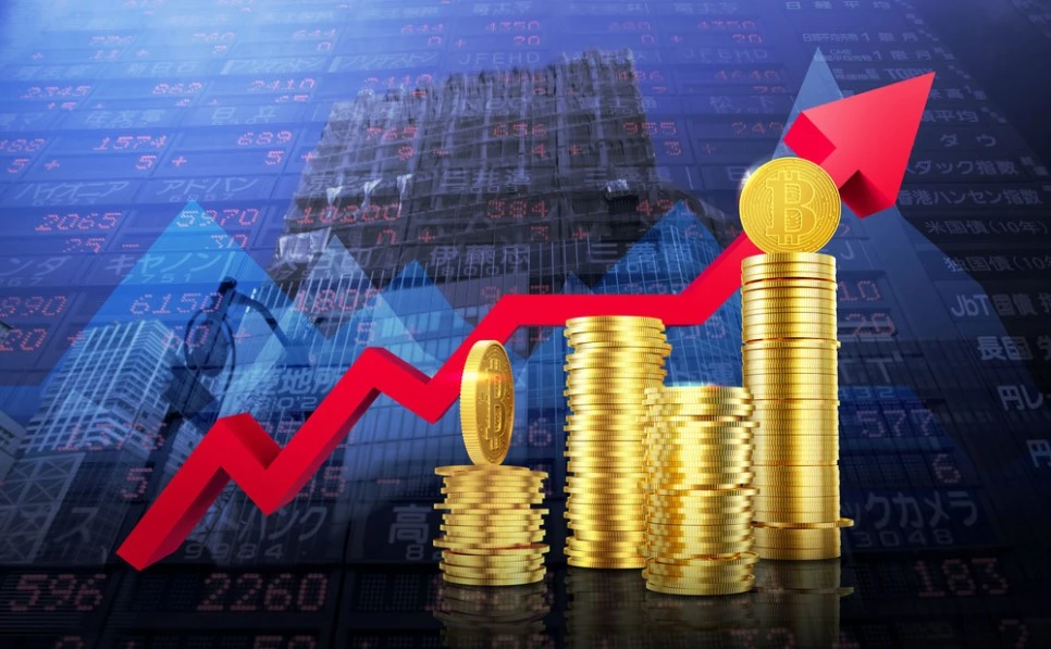 CK_ti289a10403_n_l.jpg?type=w966