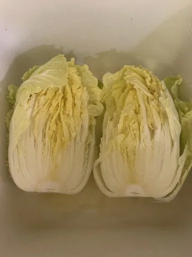 IMG_7884.JPG?type=w386