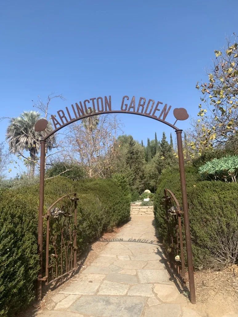 IMG_0174.JPG?type=w773