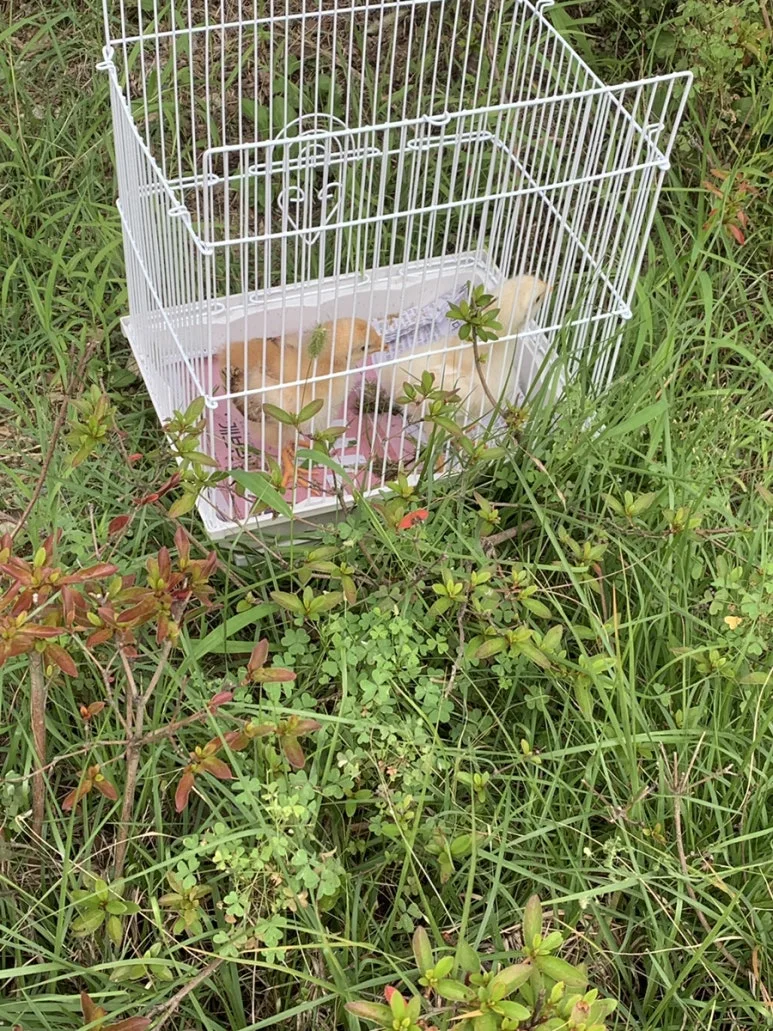 IMG_4946.JPG?type=w773