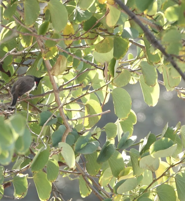 SE-a96cbc49-85fb-4b3e-86de-e4d15b31d8b3.jpg?type=w773