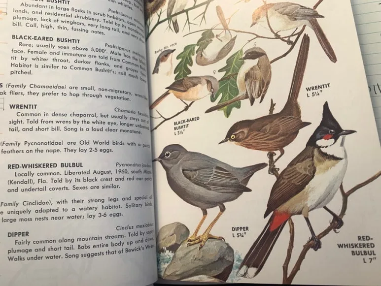 output_2538197661.jpg?type=w773