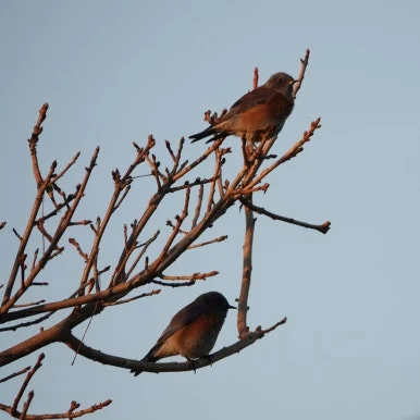 SE-d47dfc9b-63af-4563-9d57-e02bc122c47c.jpg?type=w386