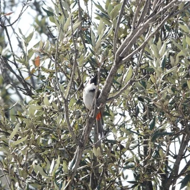 SE-c7aed279-b6bf-4246-927f-014747497fd1.jpg?type=w386