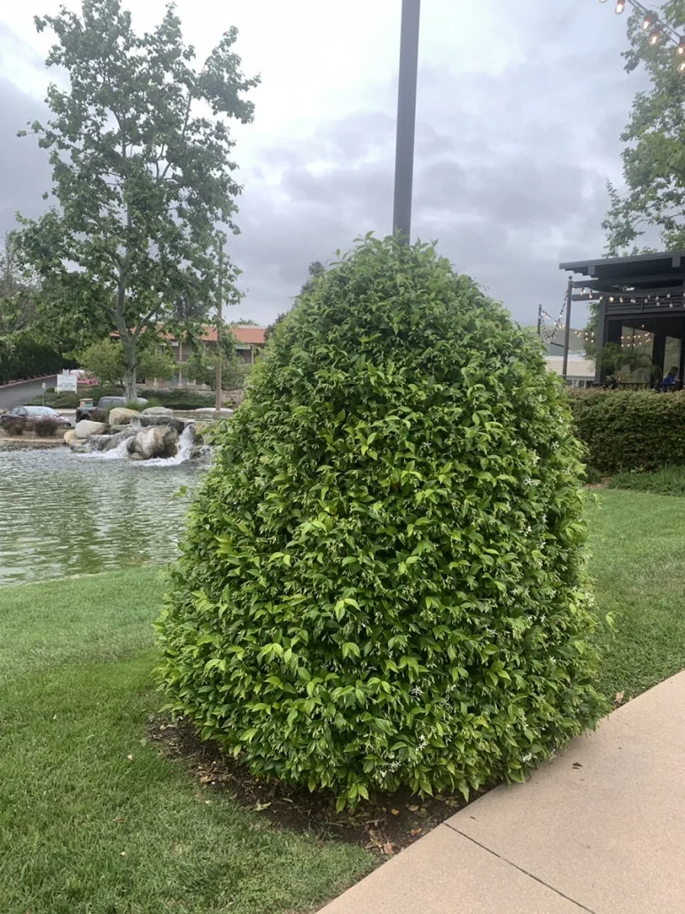 IMG_4077.JPG?type=w773