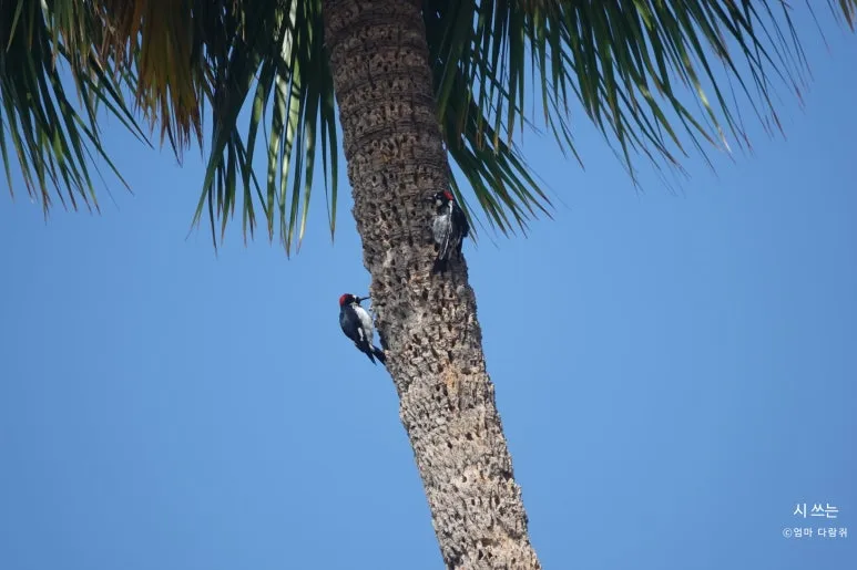 SE-4fb5b8e7-e1ee-4995-9cd0-80caf6883e2f.jpg?type=w773