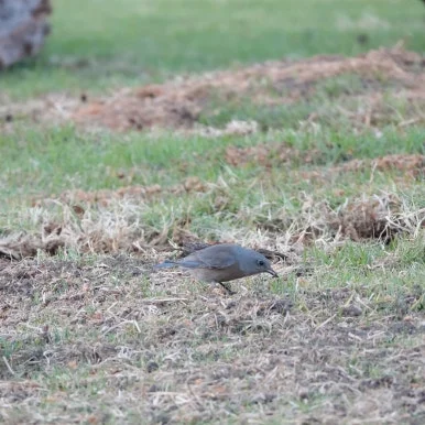 SE-07fcd995-1e62-4505-88ca-6de2c89c652c.jpg?type=w386