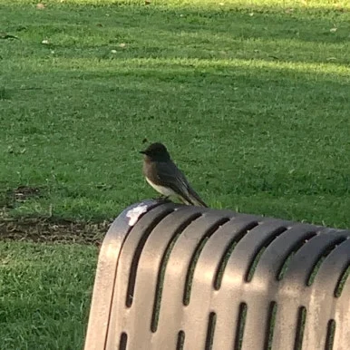 SE-58620C5E-40F2-4FB3-88EF-D5F95F851B52.jpg?type=w386