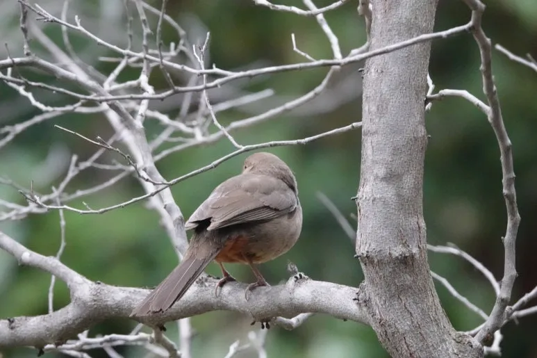 DSC03748.JPG?type=w773