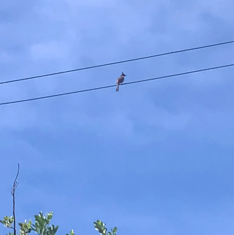 SE-1095D57D-AB97-4918-8078-713D6605D2E5.jpg?type=w773