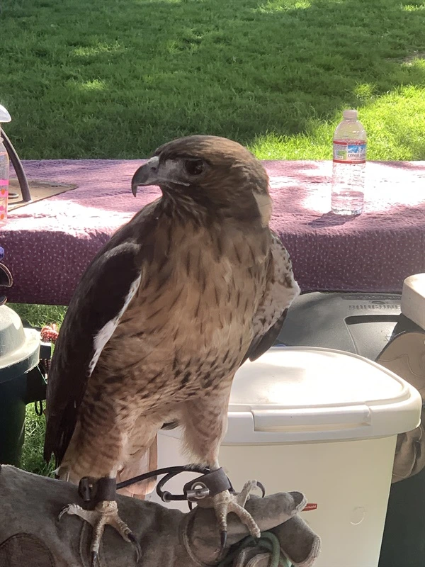 0002448706_007_20241013163408214.jpg?type=w860