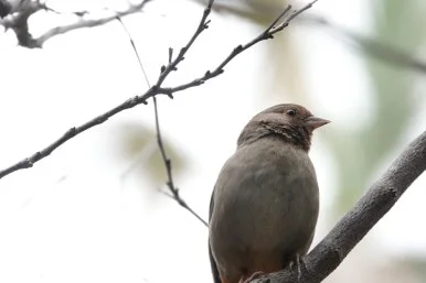 DSC03752.JPG?type=w386