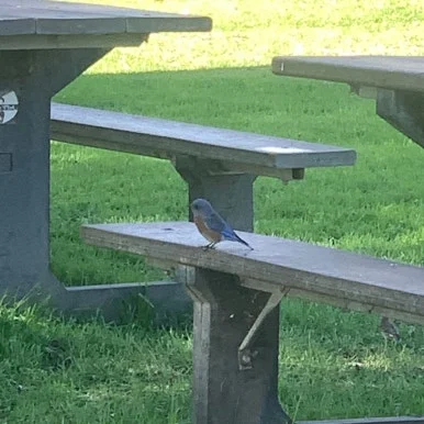 SE-1132AFB2-08B2-466C-AD9B-D2B36C240EB2.jpg?type=w386