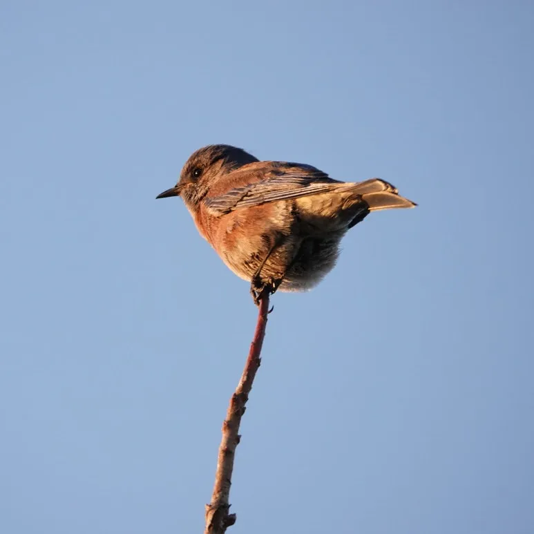 SE-cbc8cdde-6d11-48b7-9d00-56819ed9edbf.jpg?type=w773