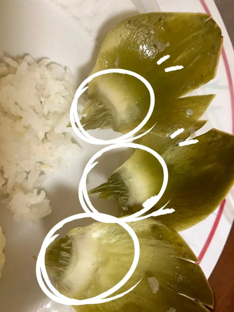 SE-57084D20-9C7E-421F-9518-DD43919A62A3.jpg?type=w773