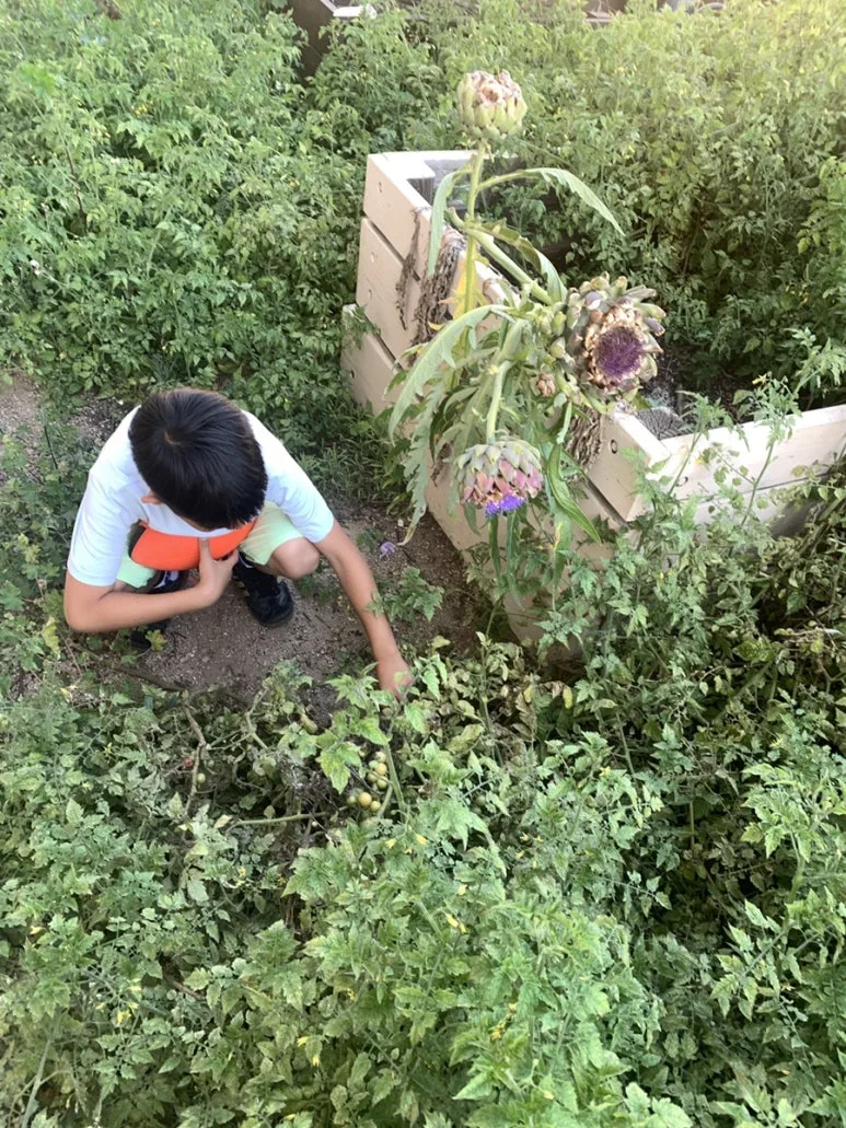 IMG_3851.JPG?type=w773