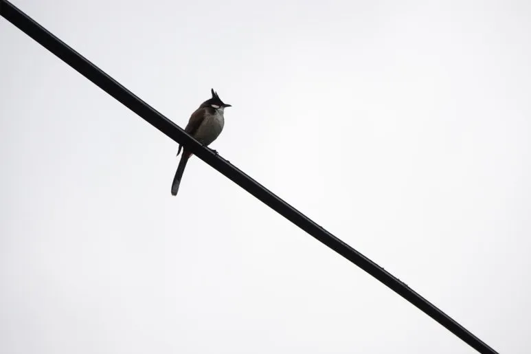 DSC03768.JPG?type=w773