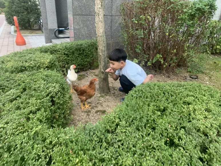 IMG_7753.JPG?type=w773