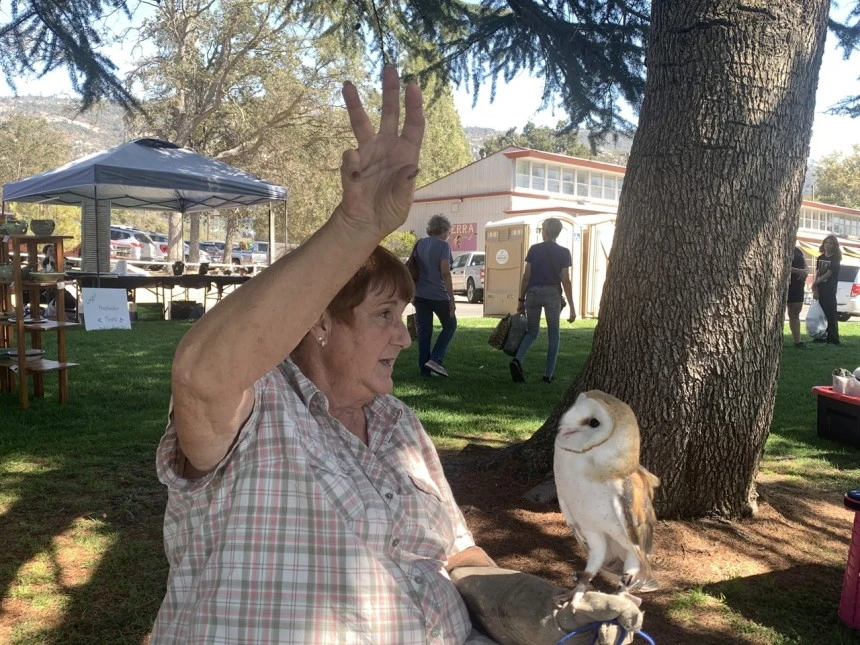 0002448706_006_20241013163408155.jpg?type=w860