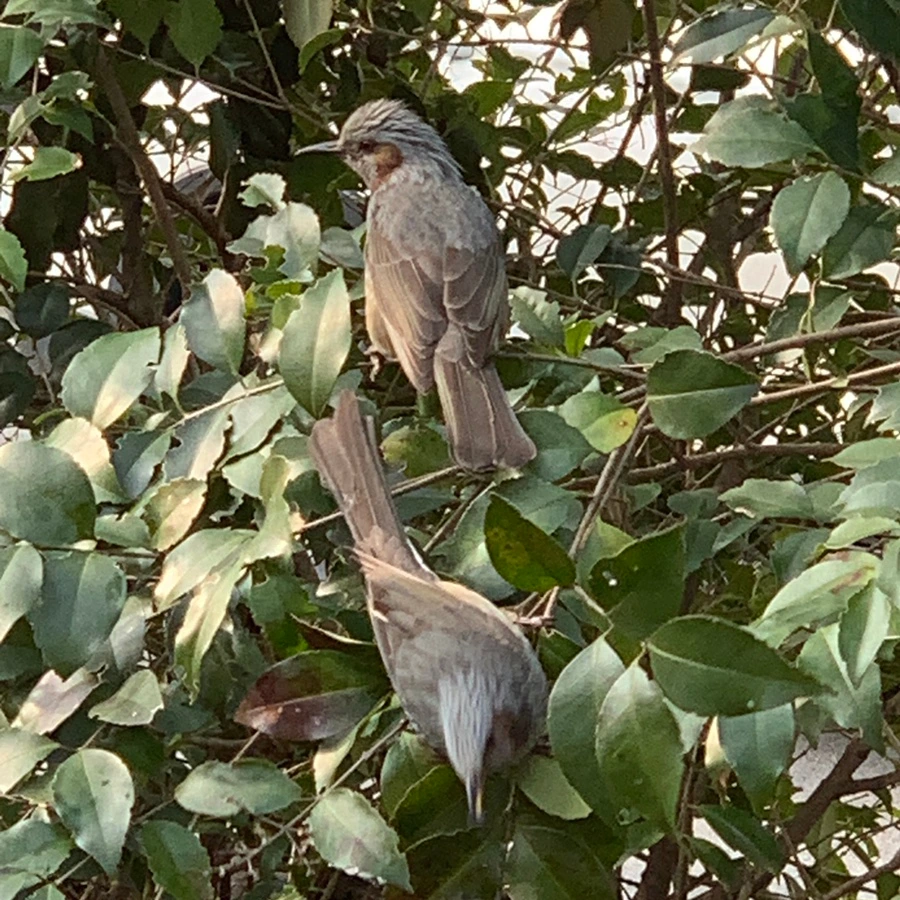 SE-FDFBB333-3C52-433E-A97C-037235847800.jpg?type=w3840