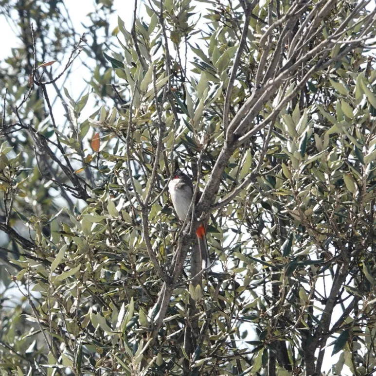 SE-c307ae98-f30a-4f7f-8827-93a4f964cee6.jpg?type=w773