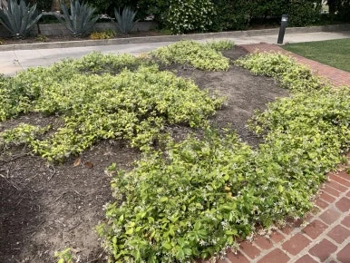 IMG_3957.JPG?type=w386