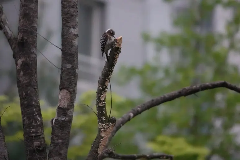 DSC00856.jpg?type=w773