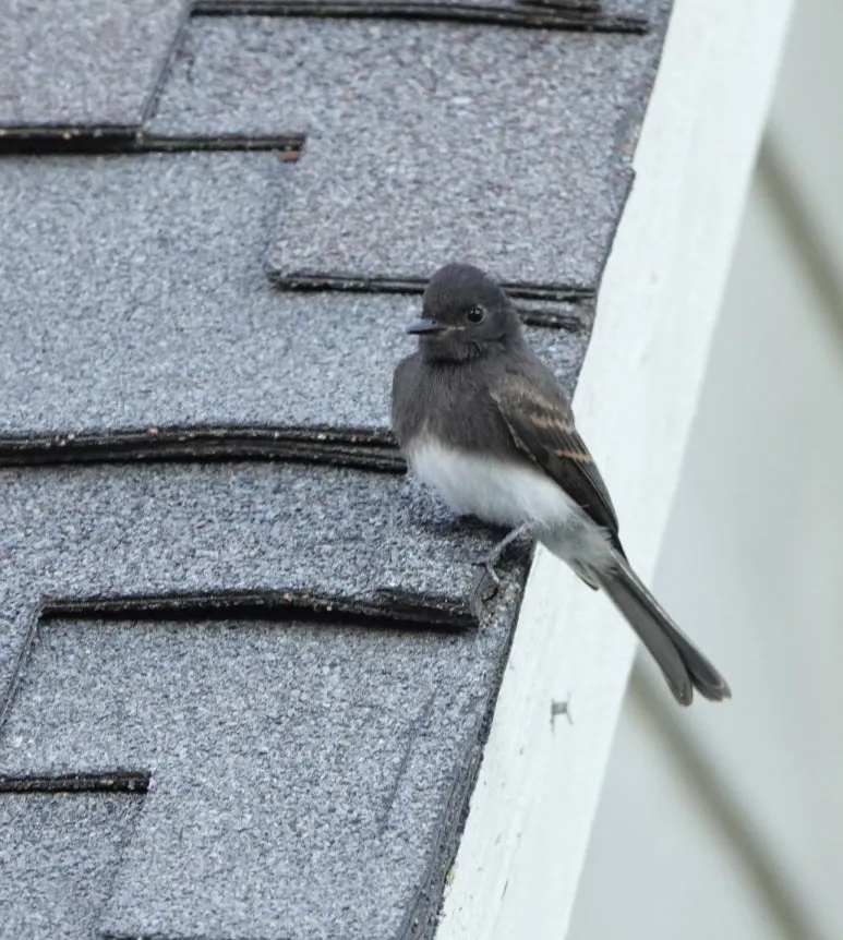 SE-4f4e2dc4-26cf-441a-82c6-d239ae58a356.jpg?type=w773