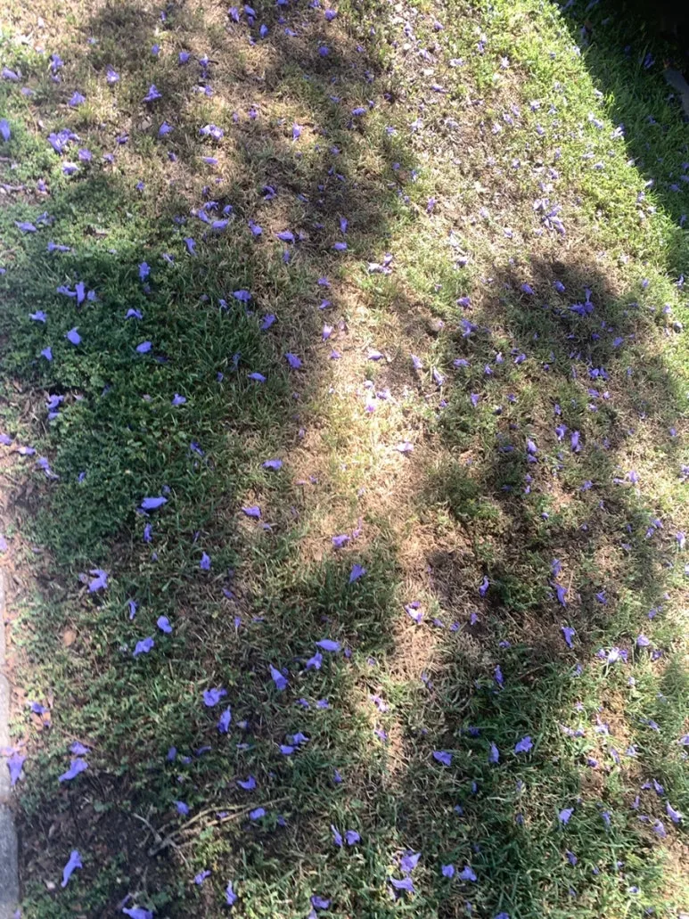 IMG_4107.JPG?type=w773