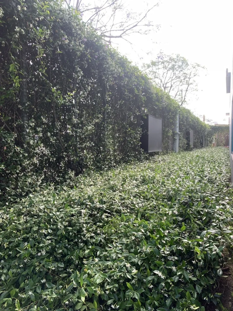 IMG_3984.JPG?type=w773