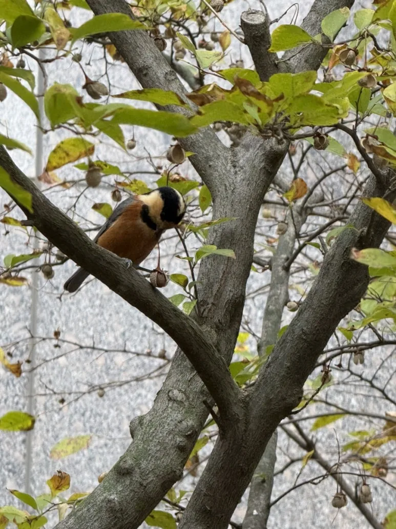 IMG%EF%BC%BF8116.jpg?type=w773