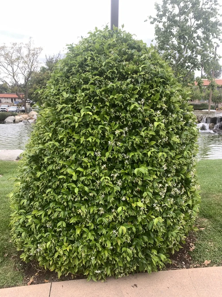 IMG_4076.JPG?type=w773