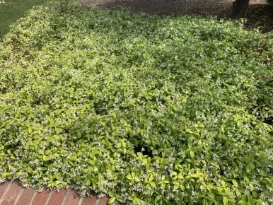 IMG_3959.JPG?type=w386