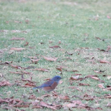 SE-787189b2-b261-4c71-91c3-17724e8734ee.jpg?type=w386