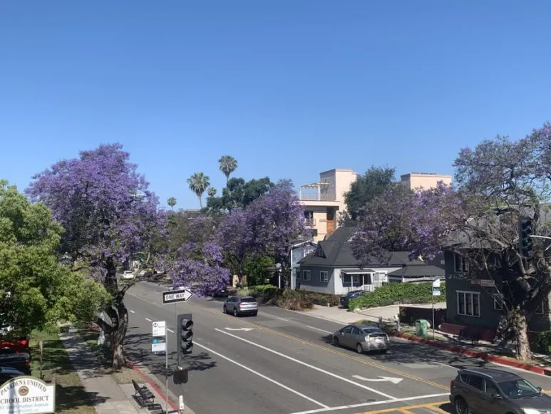 IMG_4113.JPG?type=w773